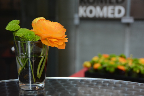 KOMED Köln, Blumenschmuck